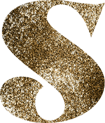 Glitter Letter S Typography